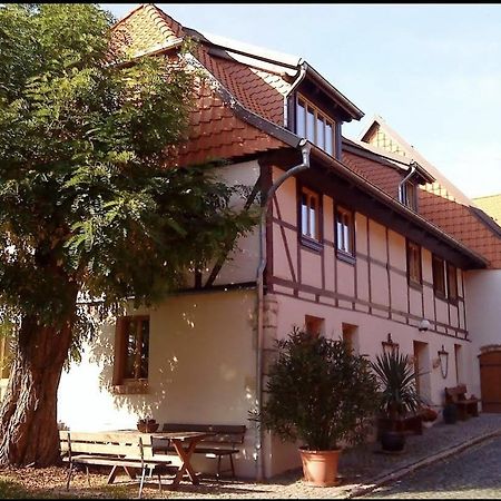 Pension Robinienhof Schadeleben エクステリア 写真