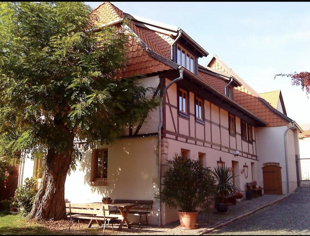 Pension Robinienhof Schadeleben エクステリア 写真